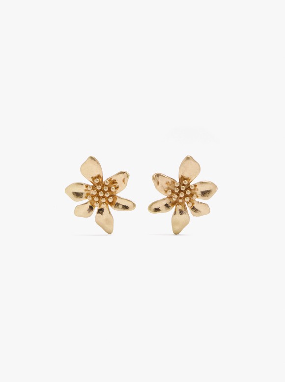 Boucles D'Oreilles Courtes...