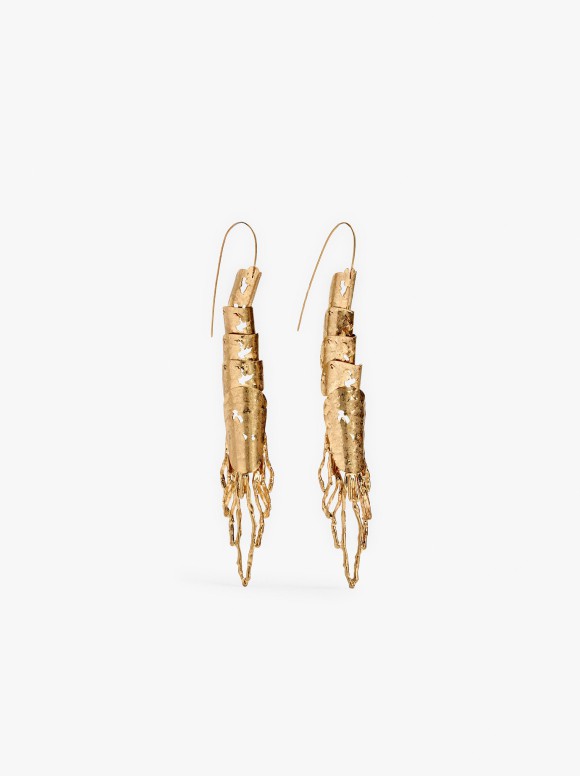 Boucles D'Oreilles Longues...