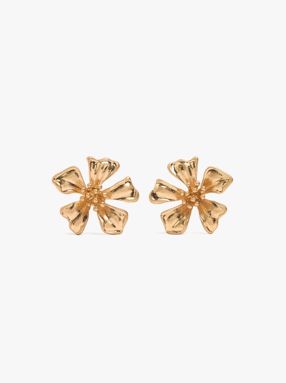 Boucles D'Oreilles Maxi...